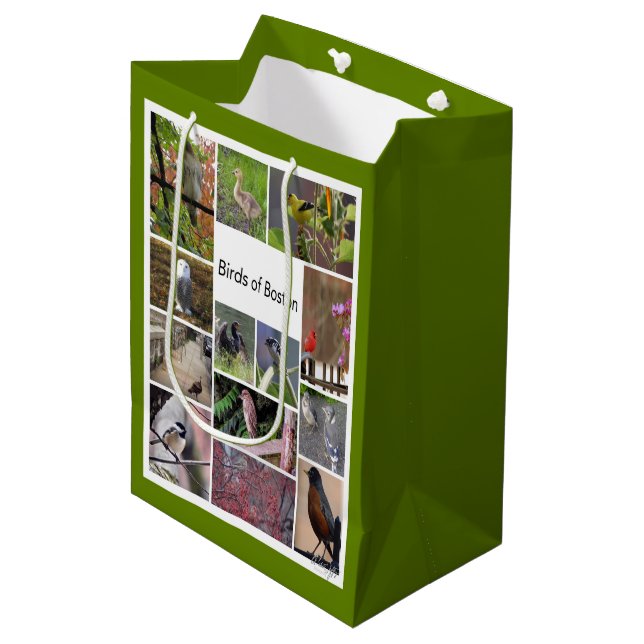Birds of Boston Photo Collage Medium Gift Bag (Front Angled)