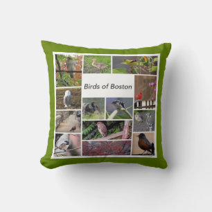 Birds of Boston Photo Collage Throw Pillow