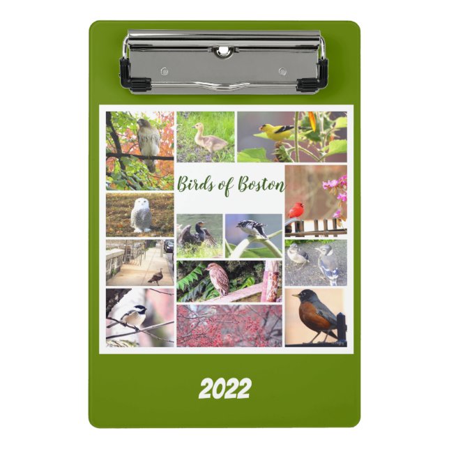 Birds of Boston Photo   Mini Clipboard (Front)