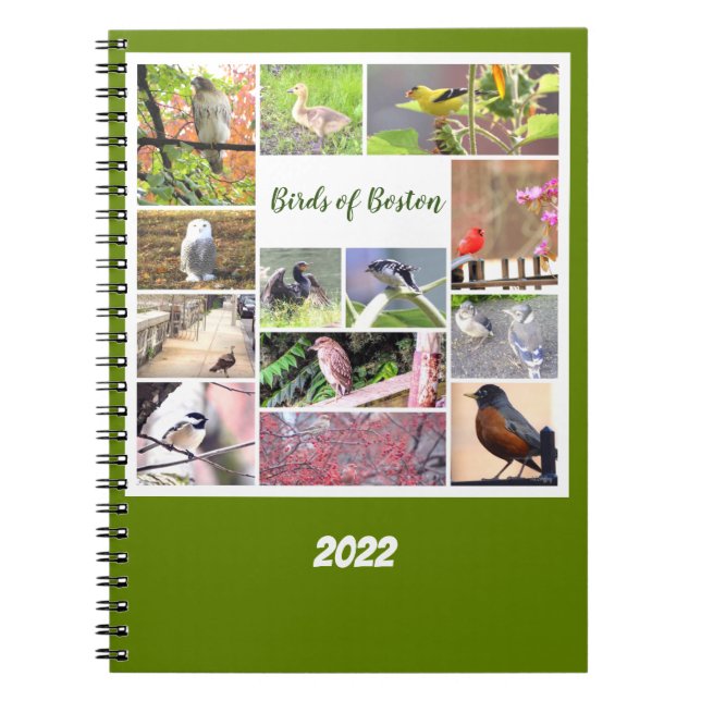 Birds of Boston Photo  Notebook (Front)