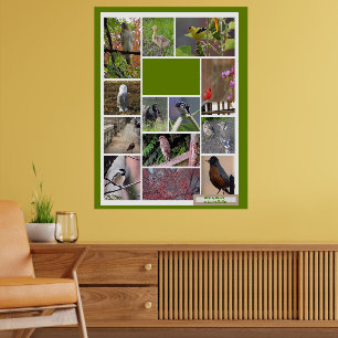 Birds of Boston   Poster