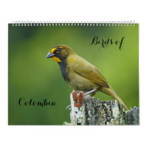 Birds of Colombia