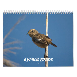 Birds of Cyprus calendar