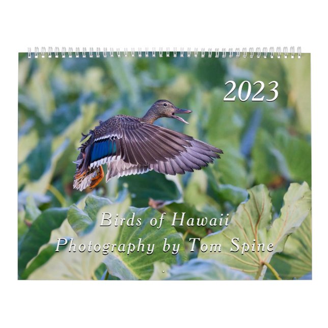 Birds of Hawaii - 2023 Calendar (Cover)