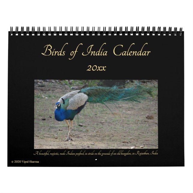 Birds of India Nature Wildlife Photography 2025-26 Calendar (Cover)