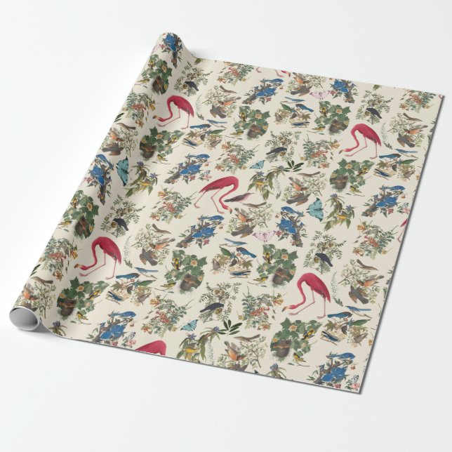Birds of John James Audubon Wrapping Paper (Unrolled)