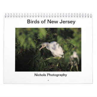 Birds of New Jersey Calendar