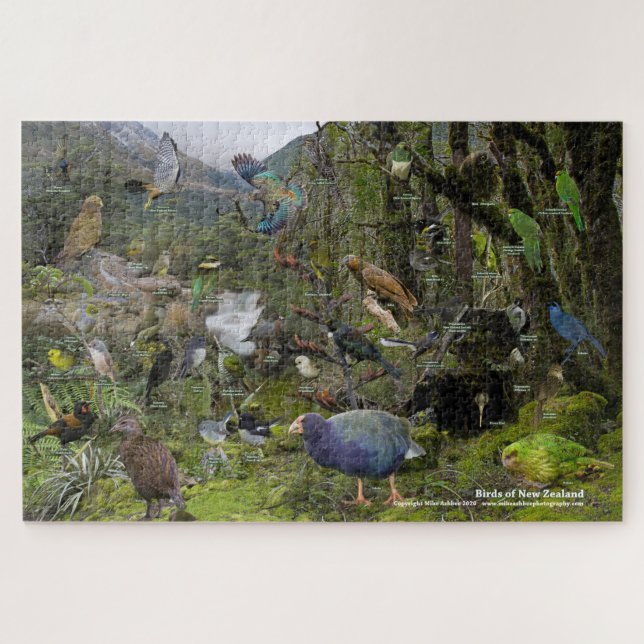 Birds of New Zealand puzzle (Horizontal)