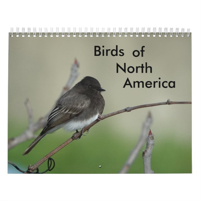 Birds of North America 2011 Calendar (Cover)