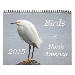 Birds of North America - 2015 Calendar