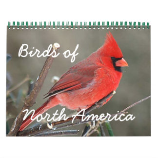 Birds of North America Calendar
