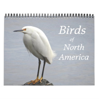 Birds of North America  Calendar