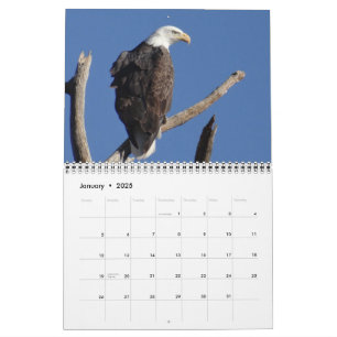 Birds of North America  Calendar