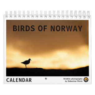 Birds of Norway 2025 Calendar