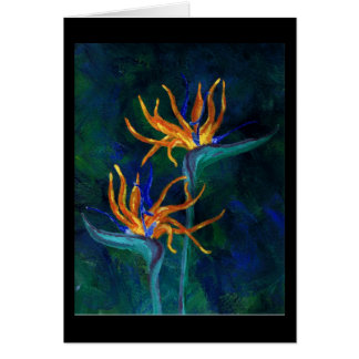 Birds of Paradise
