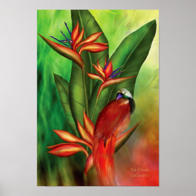 Birds Of Paradise Art Poster/Print Poster (Front)