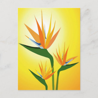 BIRDS OF PARADISE FLOWER DESIGN POSTCARD