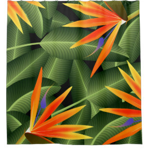 Birds of Paradise Island Botanical