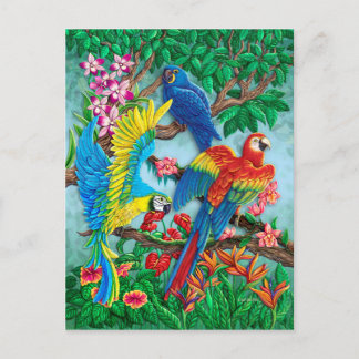 Birds of Paradise Postcard
