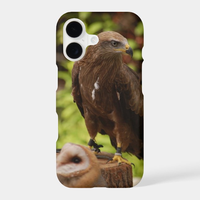 Birds of prey... (Back)