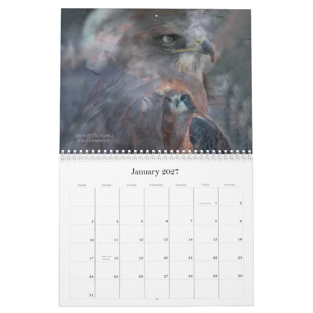 Birds Of Prey 2010 Calendar (Jan 2027)