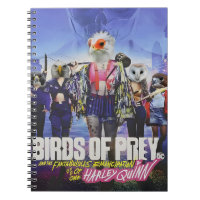 Birds of Prey: A Feathered Fantasy Poster