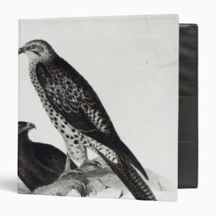 Birds of Prey Binder