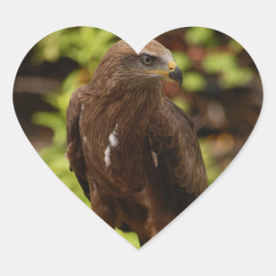 Birds of prey heart sticker