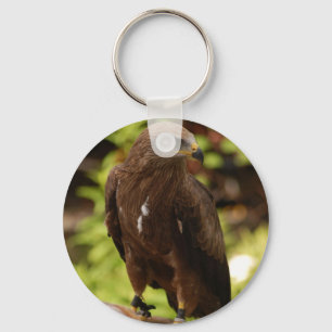 Birds of prey keychain
