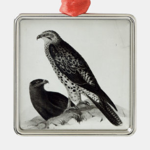Birds of Prey Metal Ornament