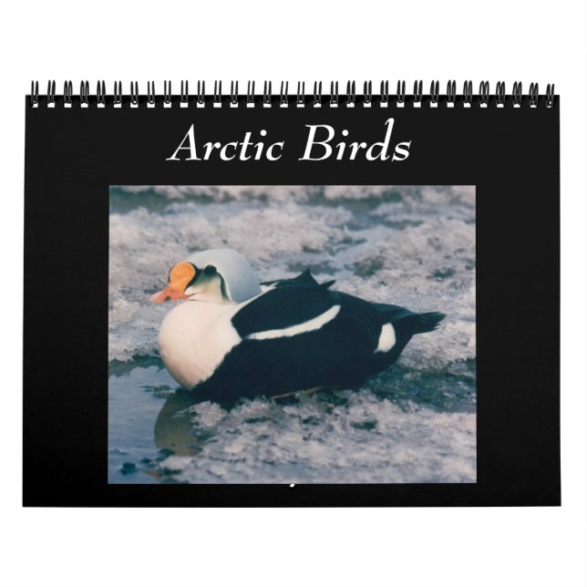 Birds Of The Arctic Photo Calendar Alaska (Cover)
