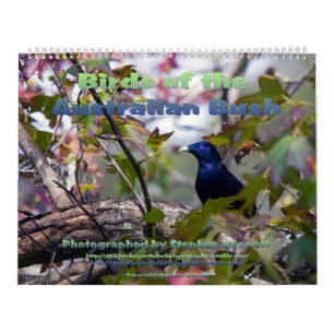 Birds of the Australian Bush Calendar