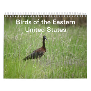 Birds of the Eastern United States calendar