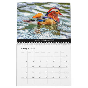 Birds of The Forest Of Dean 2021 Calendar