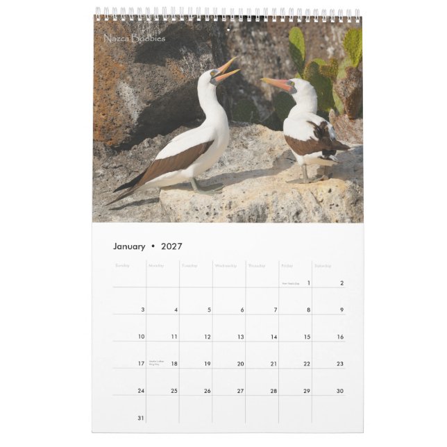 Birds of the Galapagos Calendar (Jan 2027)