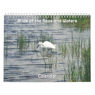 Birds of the Seas and Waters Calendar