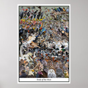Birds of the West Poster