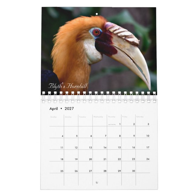 Birds of the world calendar (Apr 2027)