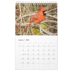 Birds of Western New York Calendar