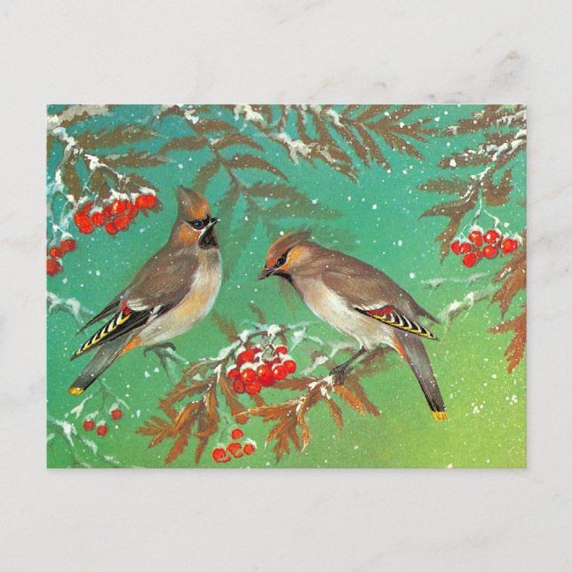 Birds of Winter Postcard (Front)