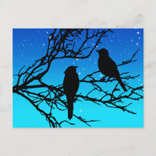 Birds on a Branch, Black Against Evening Blue Postcard