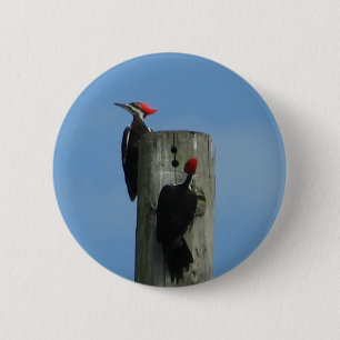Birds on a Pole 2 Inch Round Button
