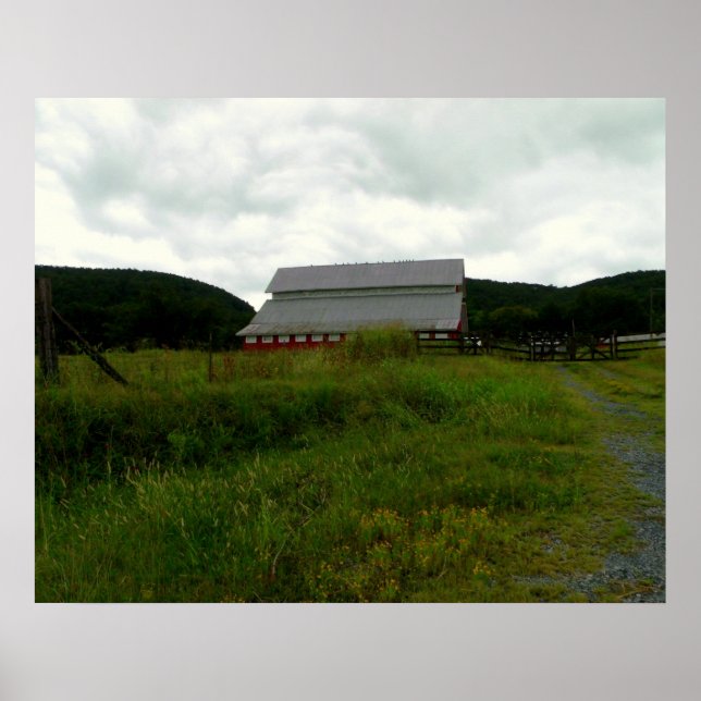 Birds on a Red Barn Poster (Front)