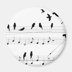 Birds on a Score Magnet
