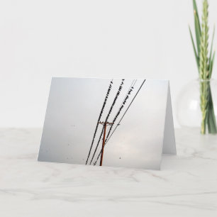 Birds on a Wire Holiday Card