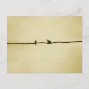 Birds on A Wire in Autumn Postcard
