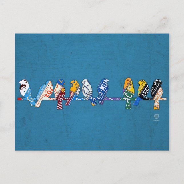 Birds on a Wire License Plate Art Postcard (Front)