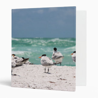 Birds on Beach Binder