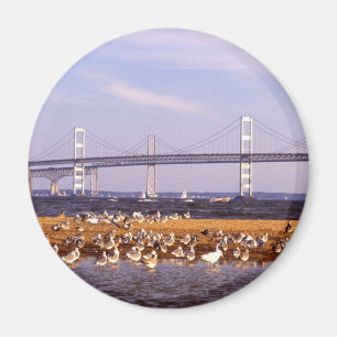 Birds on Chesapeake Bay Magnet