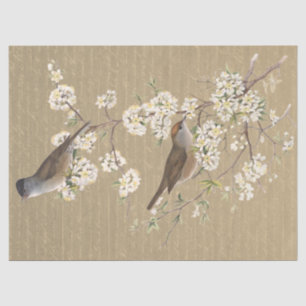 Birds on Flowering Branch Gold French Script  Tissue Paper
